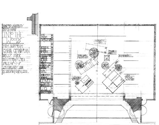 Into the Woods ground plan